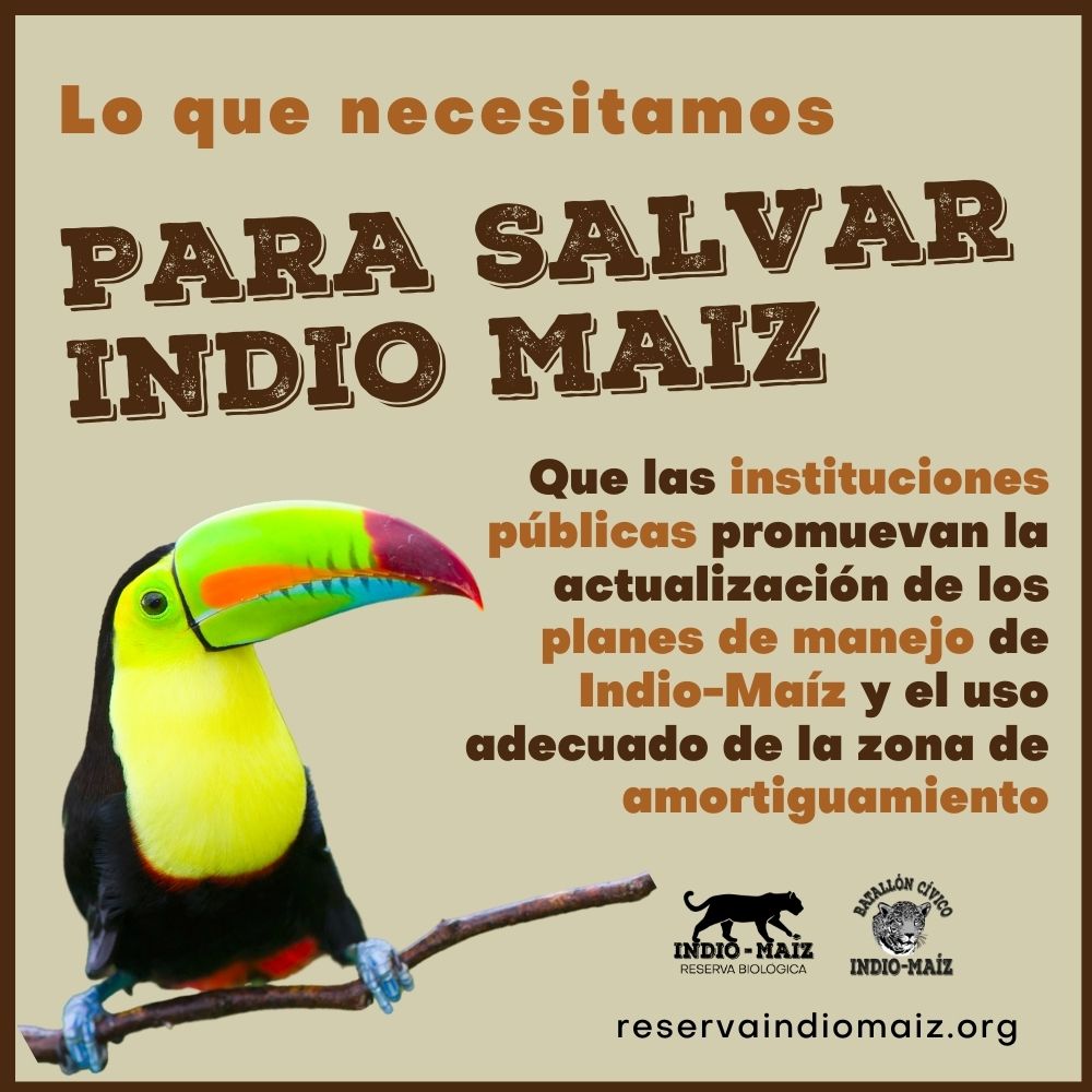 Afiche Para Salvar Indio Maiz 