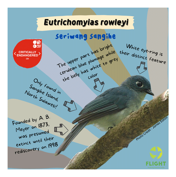 FIAN-Grafik: Eutrichomyisas-rowleyi - Critically endangered