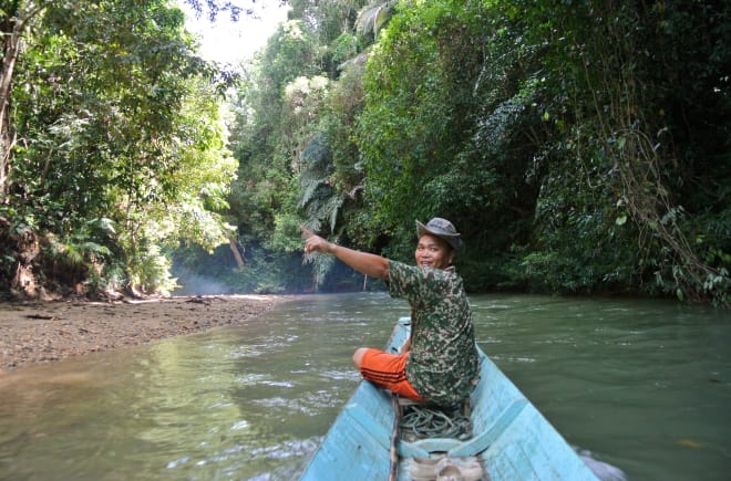 Seorang pria di tepi perahu kecil dengan antusiasnya menunjuk hutan hujan