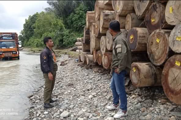 dua laki-laki didepan kayu bulat dan satu truk