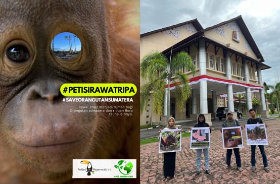 Poster dengan logo
