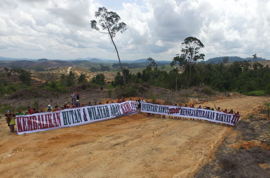 Protes menentang minyak sawit di hutan hujan Kalimantan