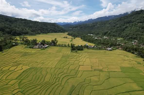 Lembah dengan sawah dan ladang, gunung dengan hutan