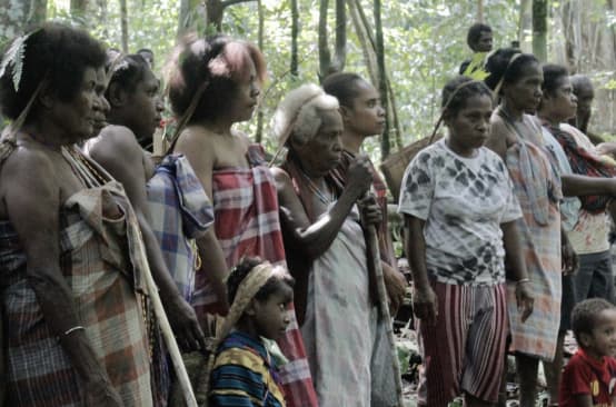 sekelompok perempuan di hutan