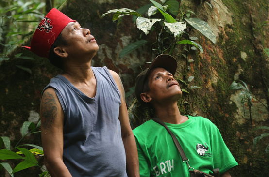 Masyarakat adat Dayak Tomun di hutan Kinipan