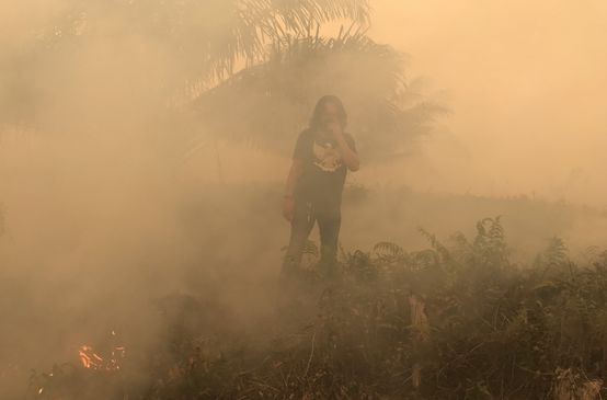 Kebakaran desa Puding, kabupaten Muaro Jambi, Sept 2019