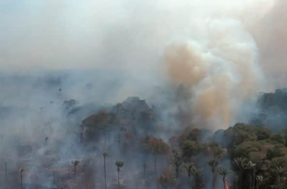 Foto dari udara hutan hujan di Amazon yang terbakar