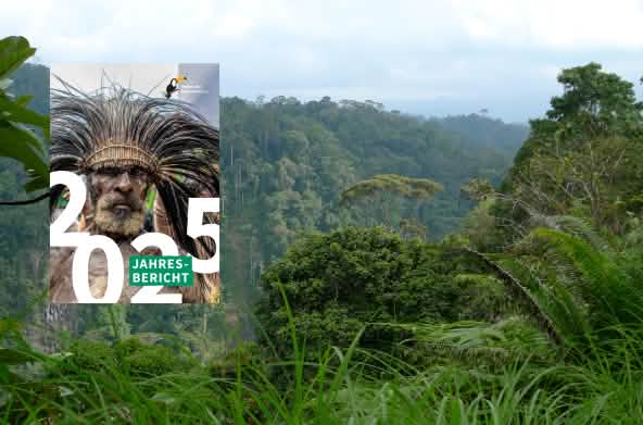 Laporan tahunan 2025 judul di depan hutan