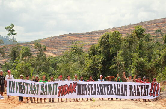 Warga Kinipan melawan deforestasi dan sawit