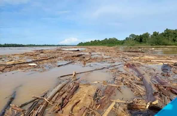 Penebangan menghambat sungai dengan batang-batang pohon
