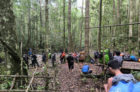 kelompok pendaki di dalam hutan
