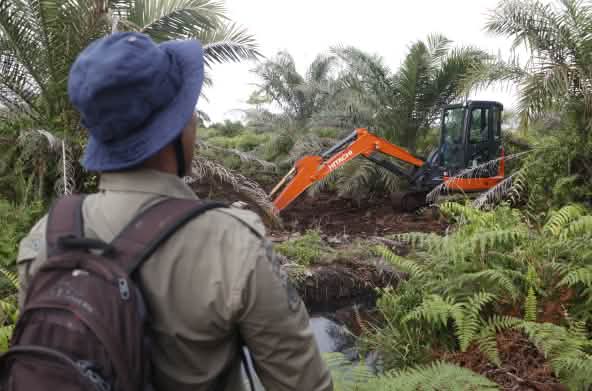 Ekskavator di HGU, depan ada laki-laki pakai ransel
