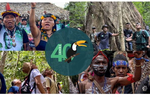 Beberapa mitra Selamatkan Hutan Hujan dan logo