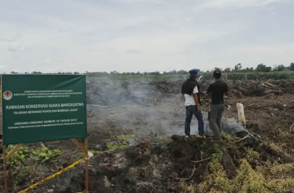dua laki di pembukaan lahan dan tanda Kawasan Konservasi