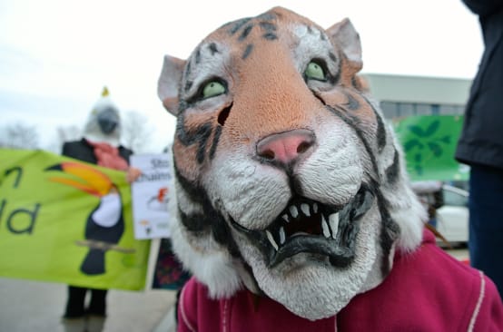 Topeng harimau