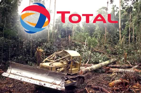 Total penebangan hutan hujan