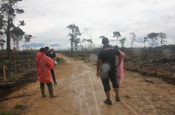 beberapa laki-laki melihat jauh