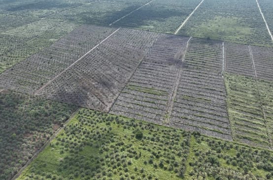 foto drone HGU baru