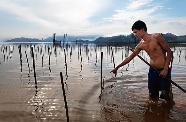 Pembuangan limbah nikel di laut Morowali