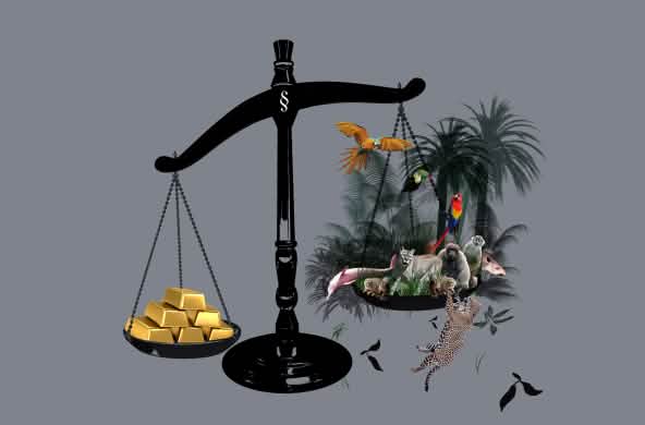 Timbangan dengan emas dan hutan hujan