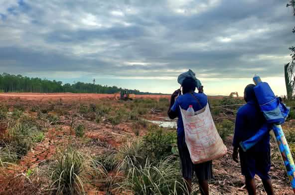 dua laki-laki memandang deforestasi bagi pembangunan jalan
