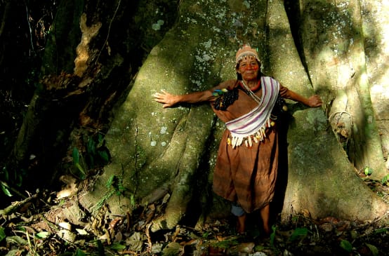 Penjaga hutan