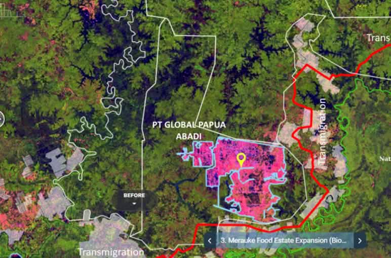 Dari foto satelit nampak penebangan tanpa henti di Merauke demi gula, beras dan etanol Foto satelit wilayah konsesi PT Global Papua Abadi