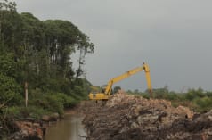 Perkebunan BGA di Kalteng