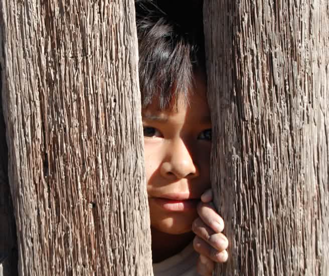 Seorang anak mengintip diantara dua papan kayu
