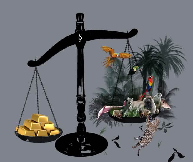 Timbangan dengan emas dan hutan hujan