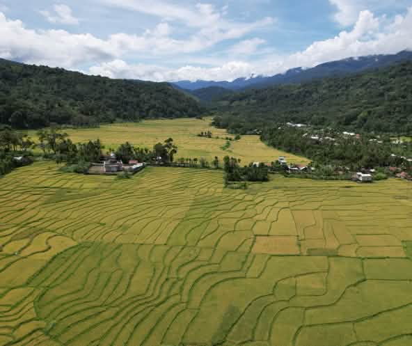 Lembah dengan sawah dan ladang, gunung dengan hutan