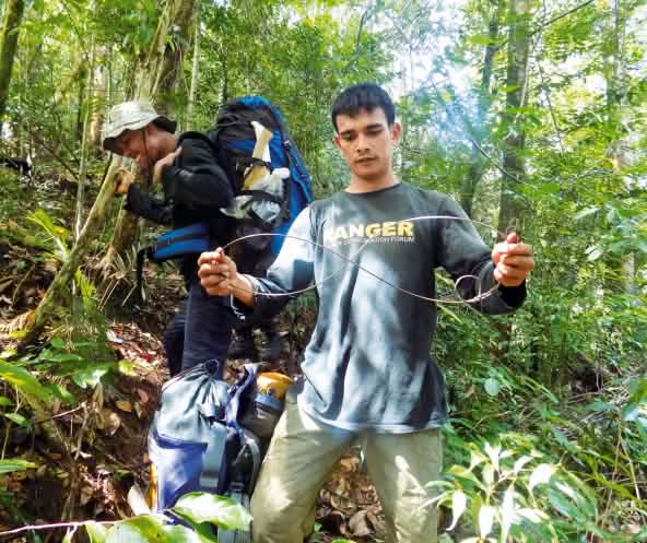 Penjaga hutan FKL dengan perangkap jerat
