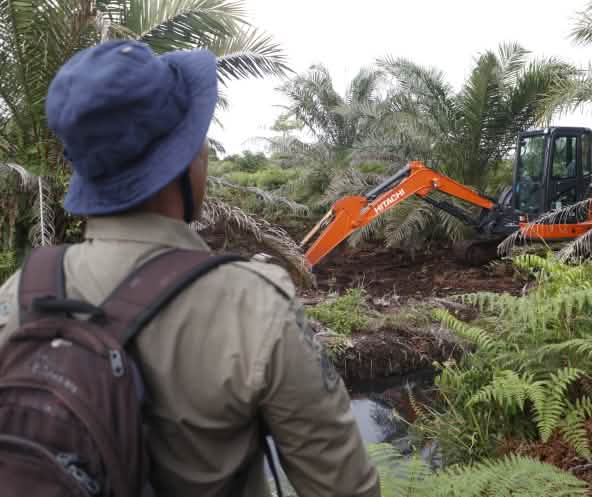 Ekskavator di HGU, depan ada laki-laki pakai ransel