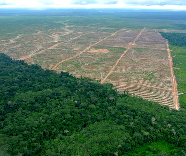 Foto udara mengambarkan pengrusakan hutan di Peru