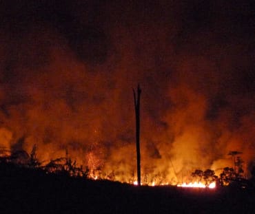 Kebakaran hutan di Kalimantan