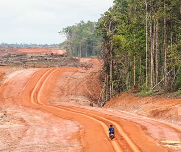 Hutan asli dan jalan baru di Merauke