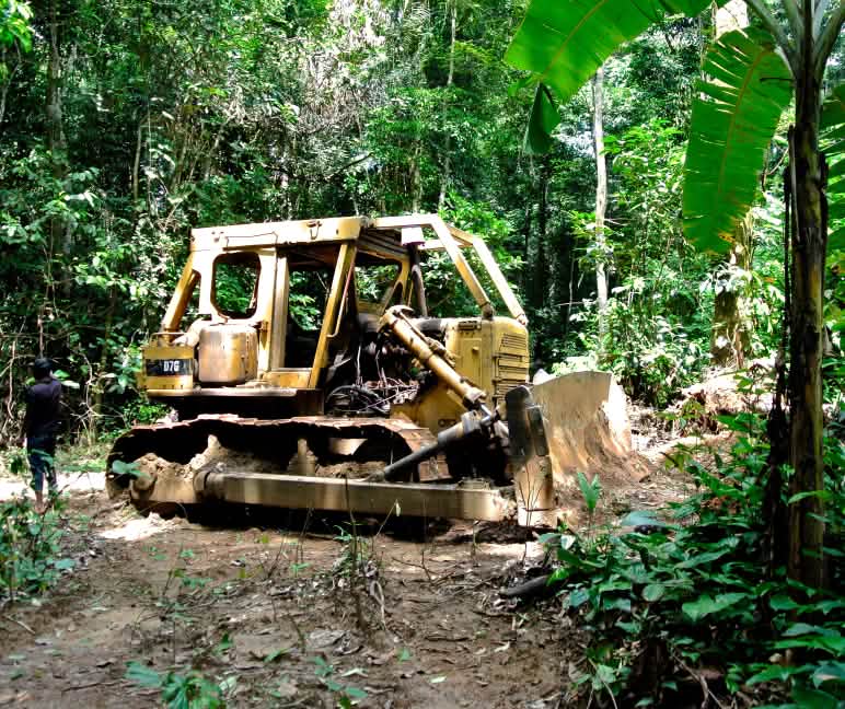 Buldoser di Taman Nasional Cross River