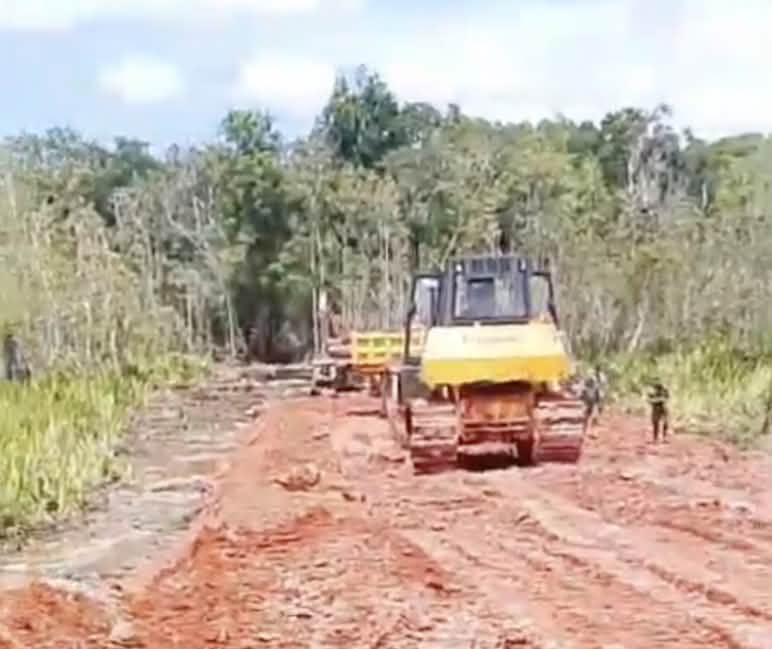 ekskavator membangun jalan di hutan hujan