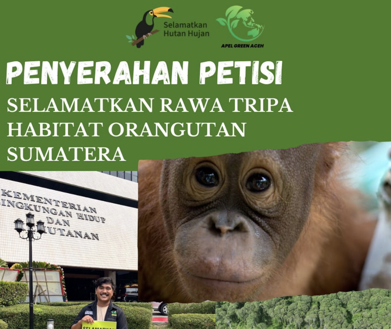 Petisi Selamatkan Rawa Tripa! dengan lebih dari 71.000 pendukung diserahkan di Jakarta kolase penyerahan petisi Tripa
