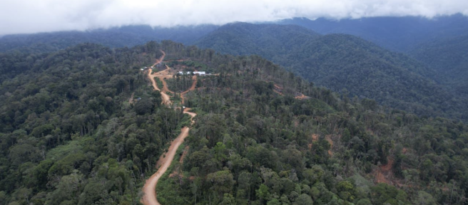 Jalan logging ilegal di Kawasan Ekosistem Leuser di Beutong