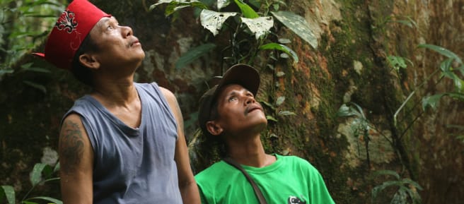 Masyarakat adat Dayak Tomun di hutan Kinipan