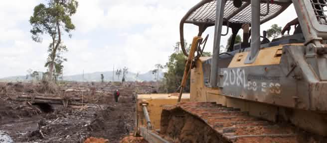 bulldoser merusakkan hutan