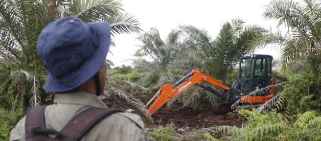 Ekskavator di HGU, depan ada laki-laki pakai ransel