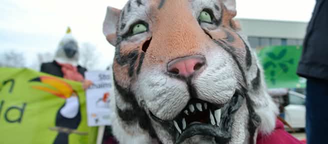 Topeng harimau