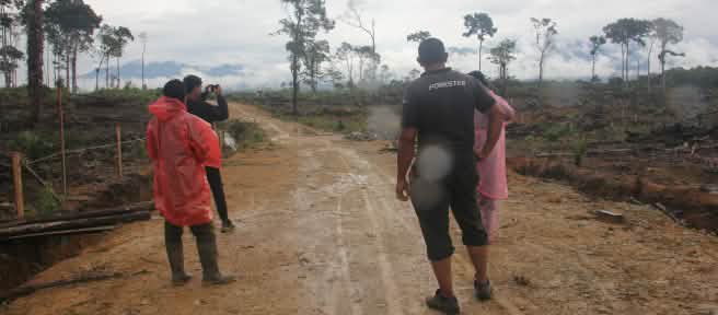 beberapa laki-laki melihat jauh