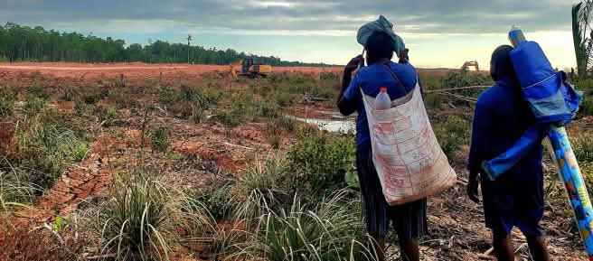 dua laki-laki memandang deforestasi bagi pembangunan jalan