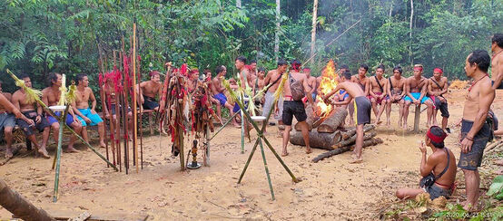 Kalimantan telah kehilangan setengah hutan hujannya, untuk kayu, kertas, minyak sawit dan batubara. Save Our Borneo dengan desa Kinipan menentang perusakan itu. Hutan hujan bisa bertahan jika hak hutan masyarakat adat dihargai. (© Save Our Borneo) Masyarakat Kinipan menghalau logger dan alat berat SML