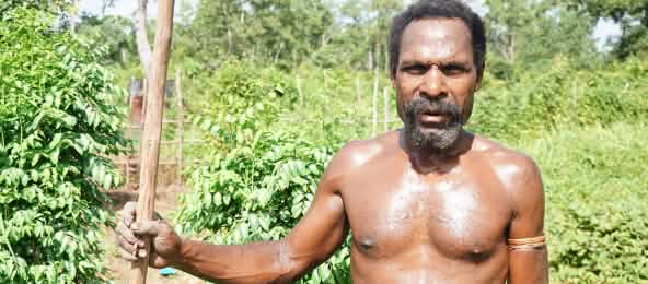 Masyarakat adat di Papua mempertahankan hutannya menentang perusahaan kertas Moorim (© Pusaka) Seorang asli Papua dari marga Gebze, Merauke