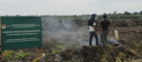Acehsatu investigasi pembukaan lahan ilegal di Suaka Margasatwa Rawa Singkil (© Junaidi Hanafiah) dua laki di pembukaan lahan dan tanda Kawasan Konservasi