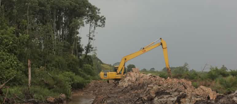 Perkebunan BGA di Kalteng